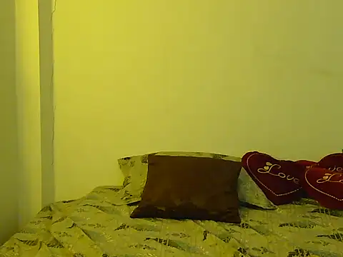 Bold-ladlo webcam