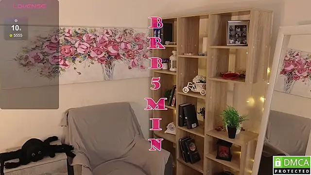 Sue_Sanders webcam