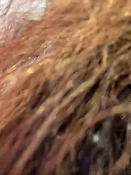 terrestrial-mermaid webcam