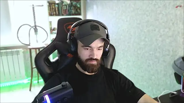 _Mostly_ webcam