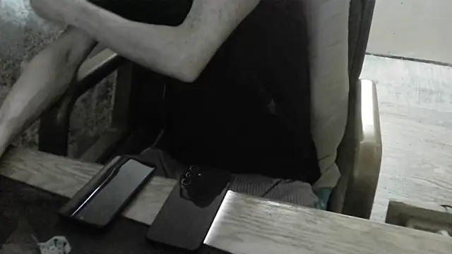 FiSTALiTY webcam