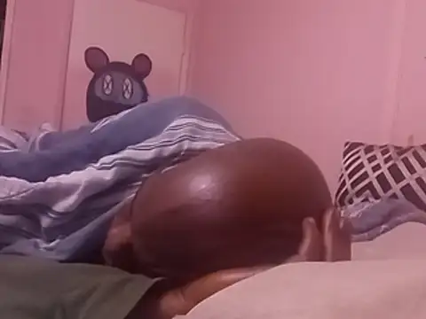Blkstylion webcam