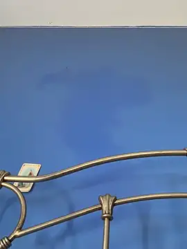 stevo170t webcam
