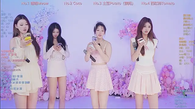 SSF-888 webcam
