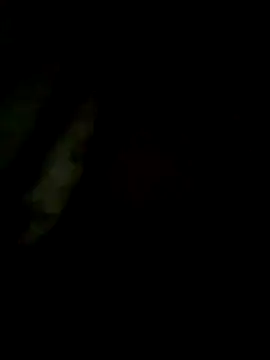 S7LEALTADPERVLIMA7 webcam