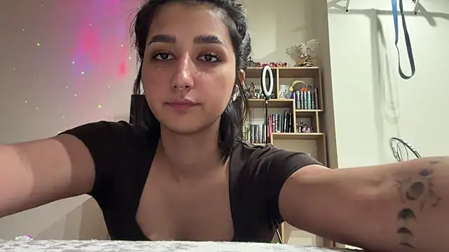 PaintedDisplay webcam