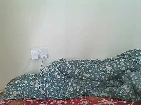 bloomaura webcam