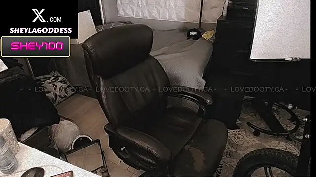 sheylagoddess11 webcam