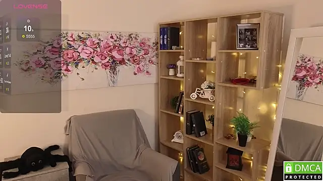 Sue_Sanders webcam