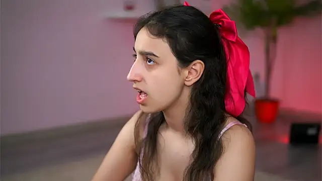 JullyFox webcam