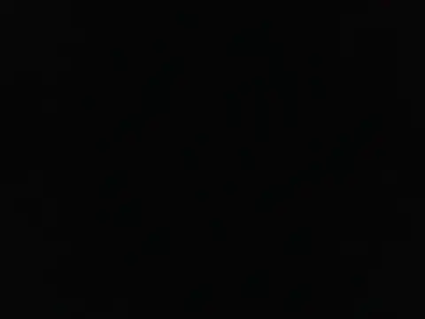 sebasevi webcam