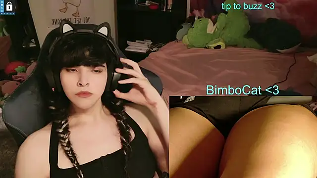 BimboCat webcam