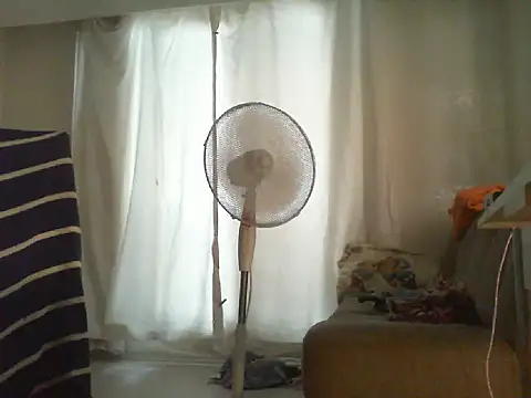 thekeys webcam