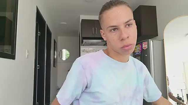 grey___27 webcam