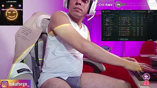 Lukaforge webcam