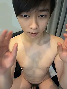Vi_1314 webcam