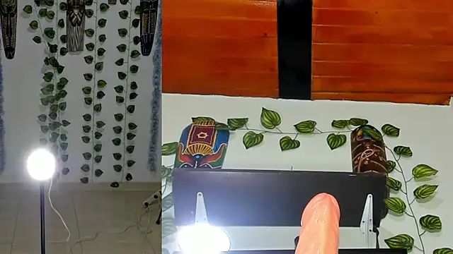 gaia_funny webcam