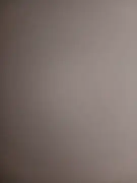VelvetCompanion webcam