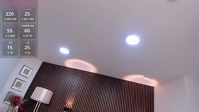 paulys_ webcam