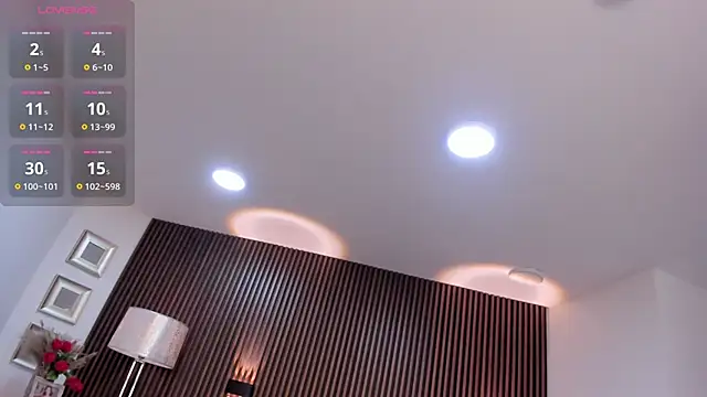 paulys_ webcam
