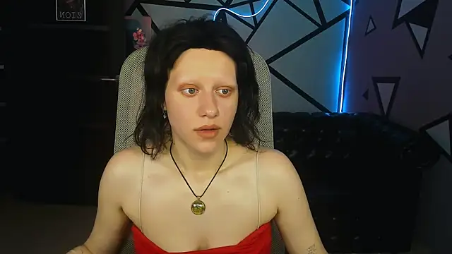 LidaDarknet webcam
