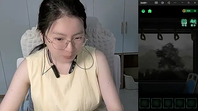 Erya-369 webcam