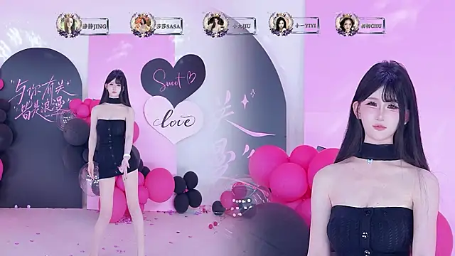 TY-002 webcam