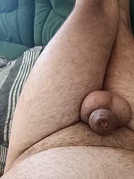 salvai webcam