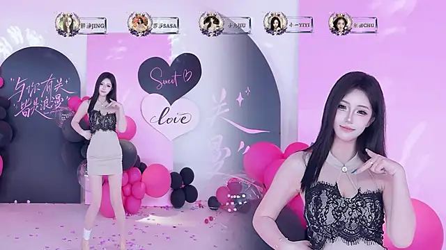 TY-002 webcam