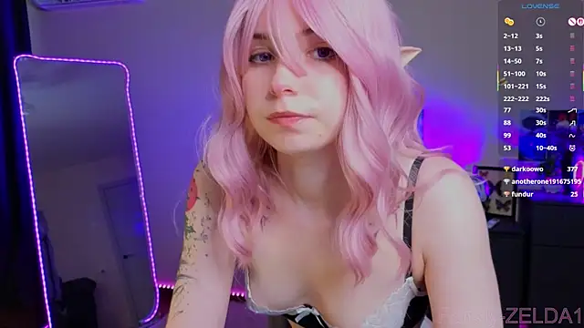 zelda_1 webcam