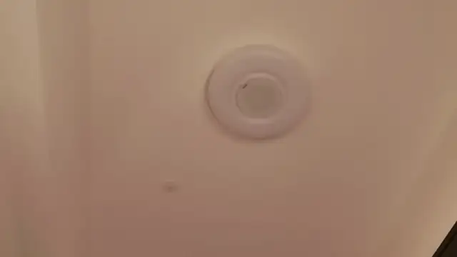 miRei- webcam