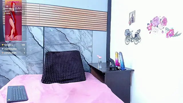 catalinaa32 webcam