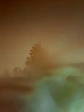 LiliDeBonnet webcam
