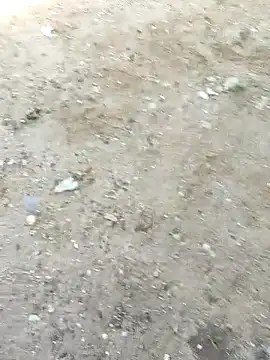 PIGHIGHDIRTY_p0