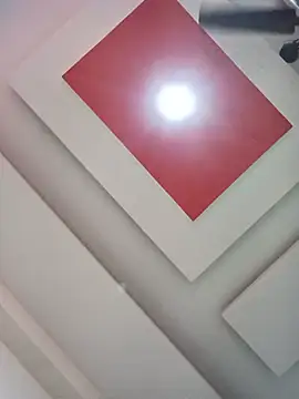 TANU01990 webcam