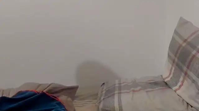 raelvr webcam