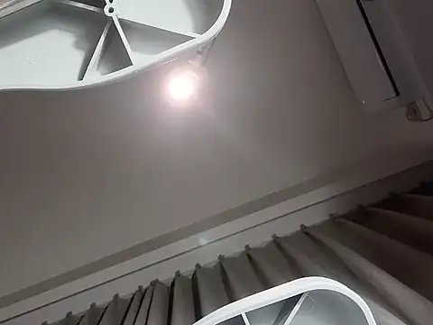 JulyLotus webcam