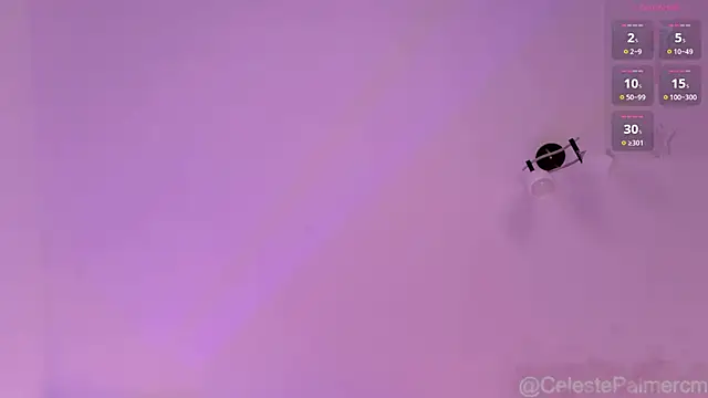 CelestePalmer_ webcam