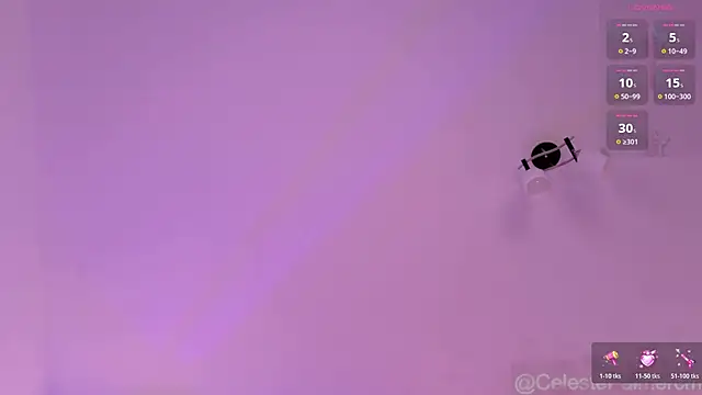 CelestePalmer_ webcam
