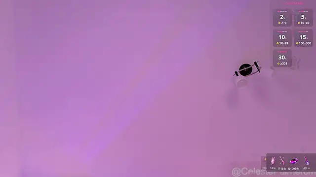 CelestePalmer_ webcam
