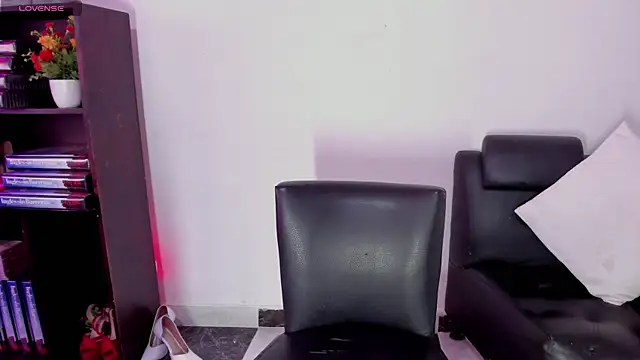 aria-voss webcam