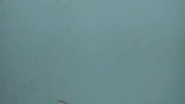 Striphotcam webcam