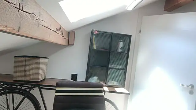 Aricky_2 webcam