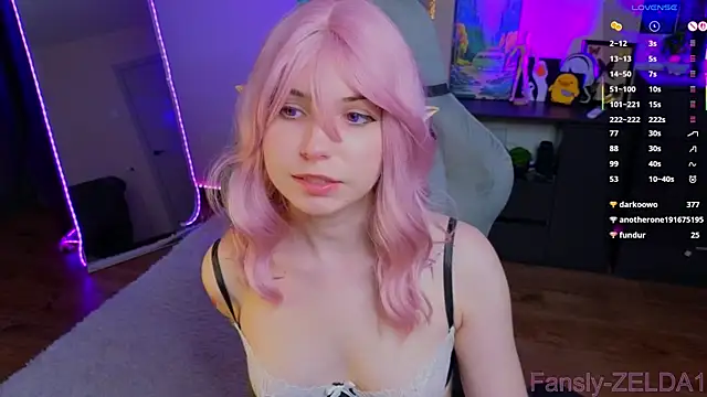 zelda_1 webcam