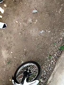 PIGHIGHDIRTY_p0