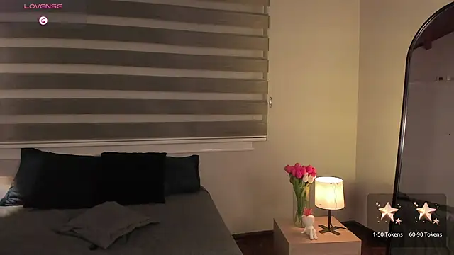 MERIDA_TAYLOR webcam