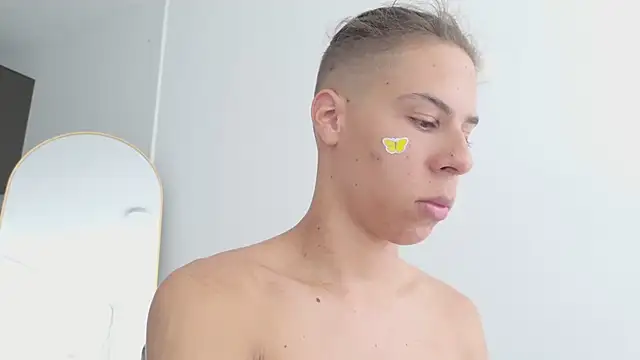 grey___27 webcam