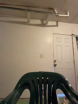dingoding webcam