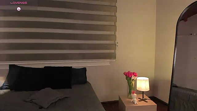 MERIDA_TAYLOR webcam