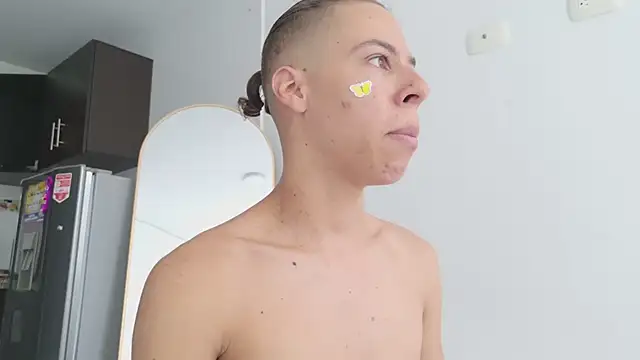 grey___27 webcam
